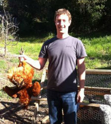 zuckerberg-gallina.jpg