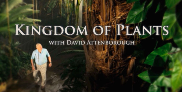 kingdom-of-plants.jpg