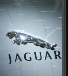 jaguar.jpg