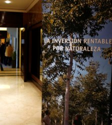 bosquesnaturales.jpg