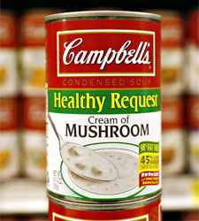 campbell.jpg