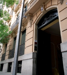 cedro.jpg