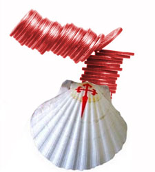 concha-monedas.jpg