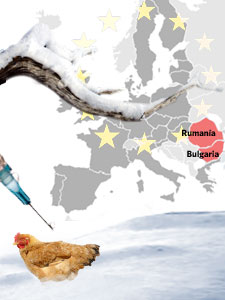invierno-internacional.jpg