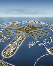 palm-island.jpg