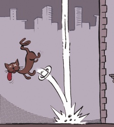 gato-muerto.jpg