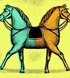 caballo.jpg