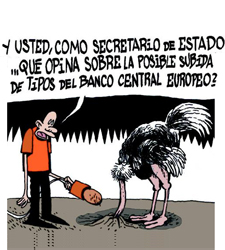 chisteavestruz.jpg