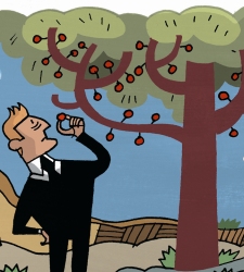 fondos-frutos-jolivares.jpg