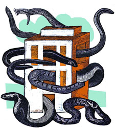 casaculebras.jpg