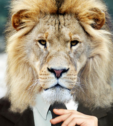 leonjefe.jpg