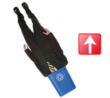 paro-flecha.jpg