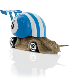 caracol.jpg