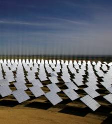 camposolar.jpg