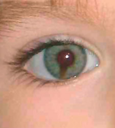 ojo-madeleine.jpg