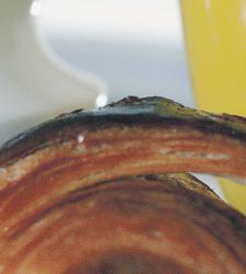 aceites-industriales.JPG