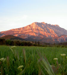 campo.jpg