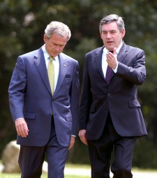 BushBrown.JPG