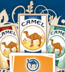 camel.JPG