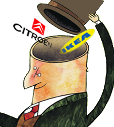 cabezamarcas.jpg