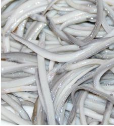 angulas.jpg