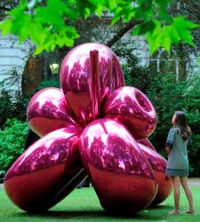 balloonflower.jpg