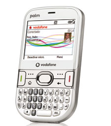 palm.jpg