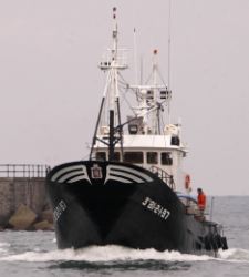 pesca.jpg