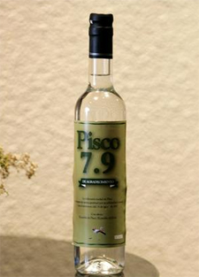 pisco7.9.jpg