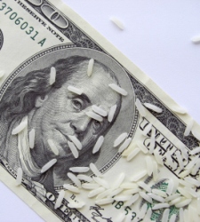 Dolar-arroz.jpg