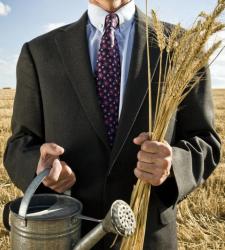 Empresario-campo-semillas.JPG