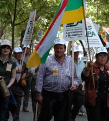 campo-mani.JPG
