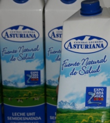 clasturiana.JPG