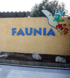 faunia.jpg