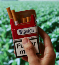 winston.jpg