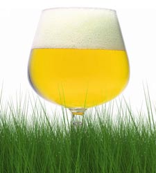 cerveza-cesped.jpg