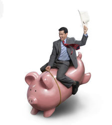 directivo-cerdito.jpg