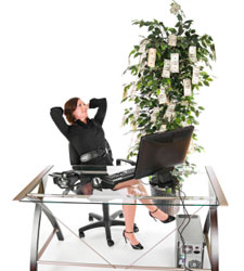 planta-dinero.jpg