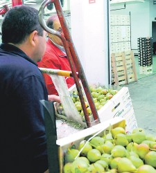 mercado-abastos.jpg
