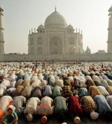 india02.JPG