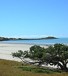 isla-tortuga.jpg