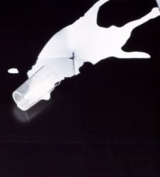 Leche1.jpg