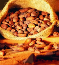 cacao_buena.JPG