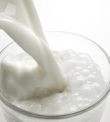 leche.JPG