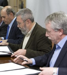 toxo-mendez.ferran.jpg