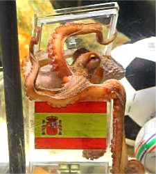 Pulpo_paul_espana.jpg