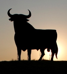 toro osborne