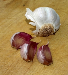ajos2.jpg