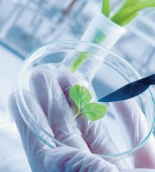 biotecnologia.jpg