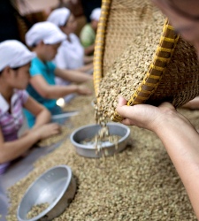 cafe-vietnam.JPG